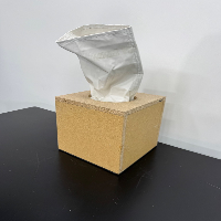 Flow Sciences Hepa Filter image 1